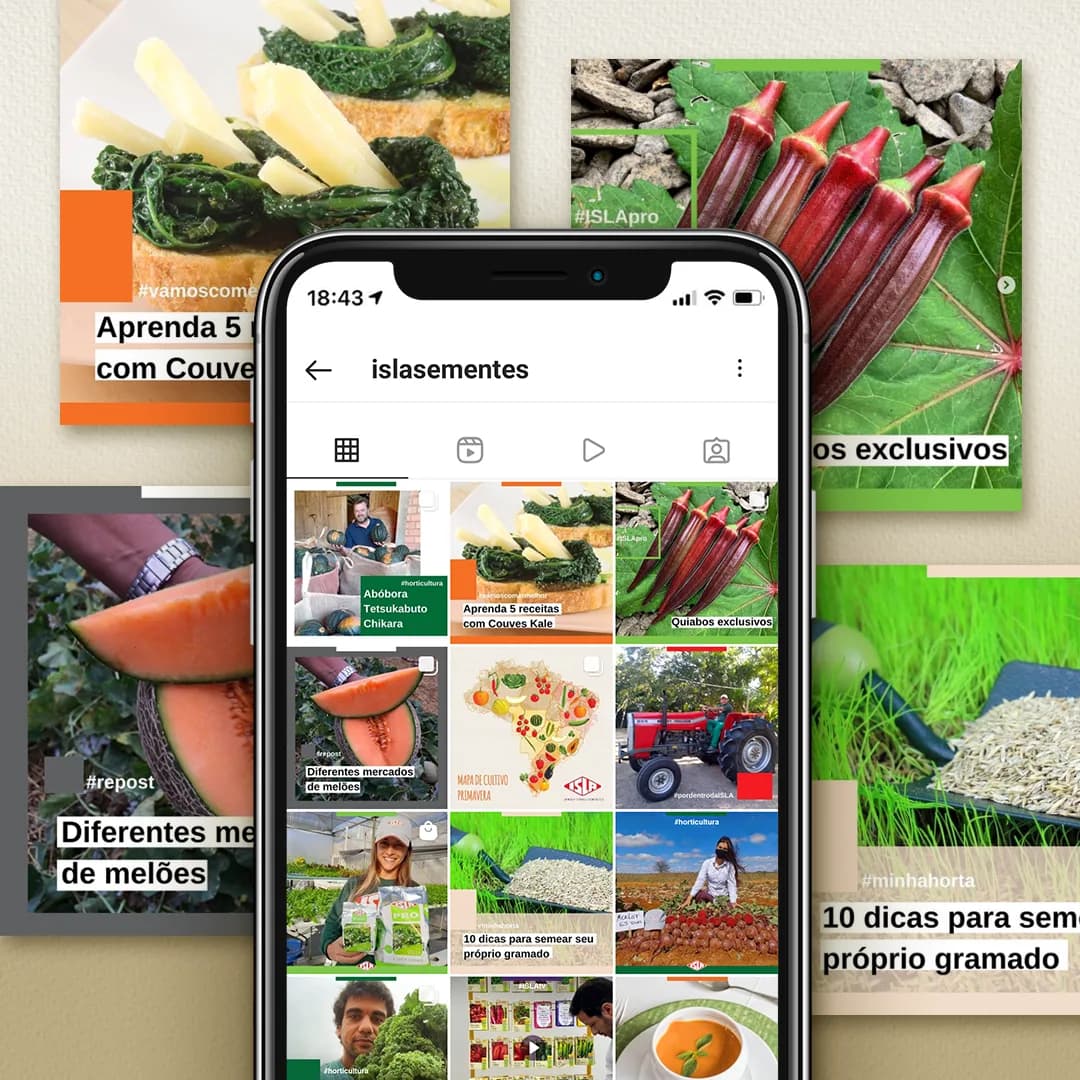 Isla Sementes: Projeto editorial para redes sociais